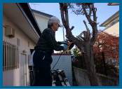 電動ノコギリで枝の切除